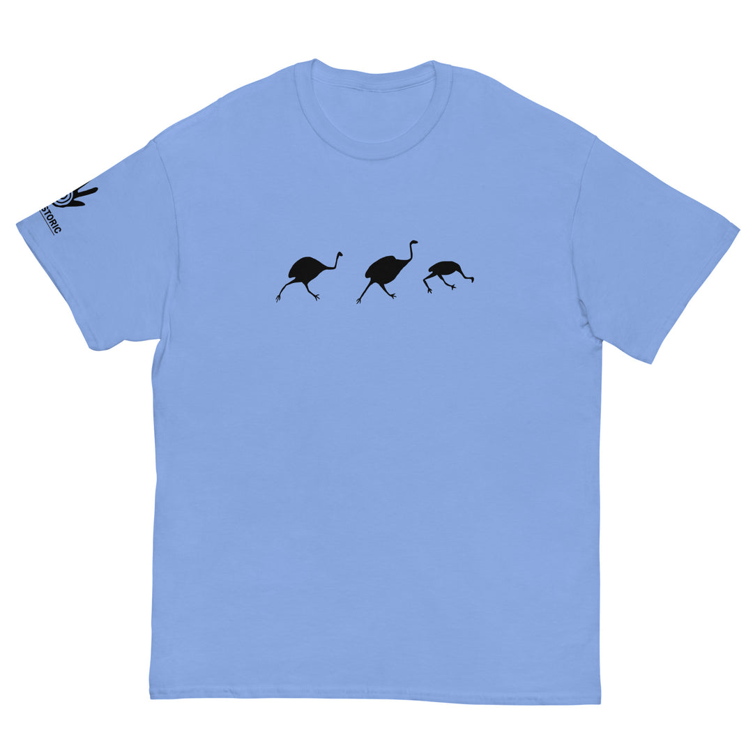 Birds - Men's classic tee