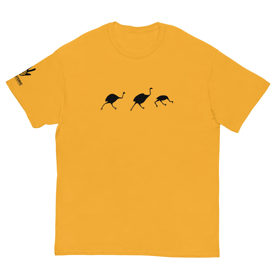 Birds - Men's classic tee