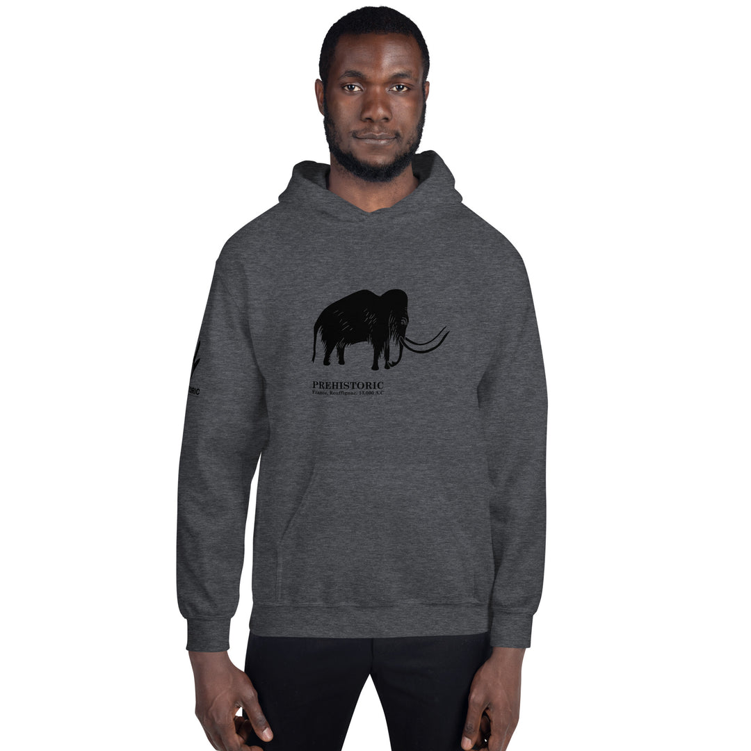 Mammoth Cave France - Unisex Hoodie 