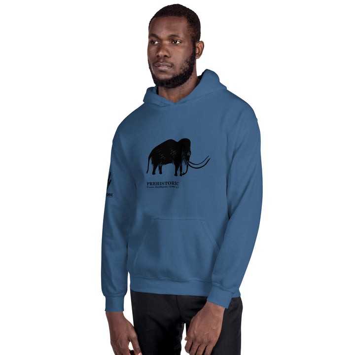 Mammoth Cave France - Unisex Hoodie 