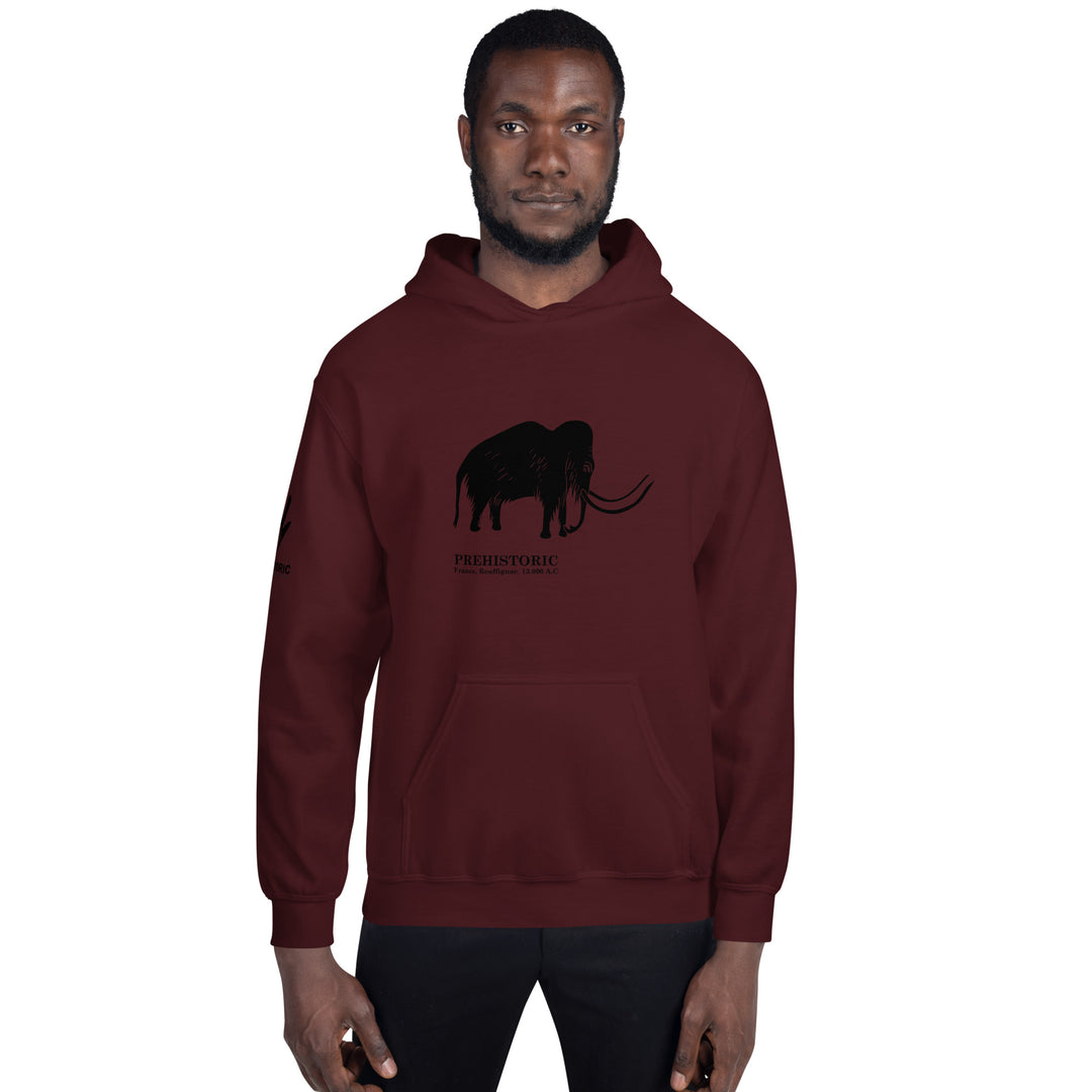 Mammoth Cave France - Unisex Hoodie 