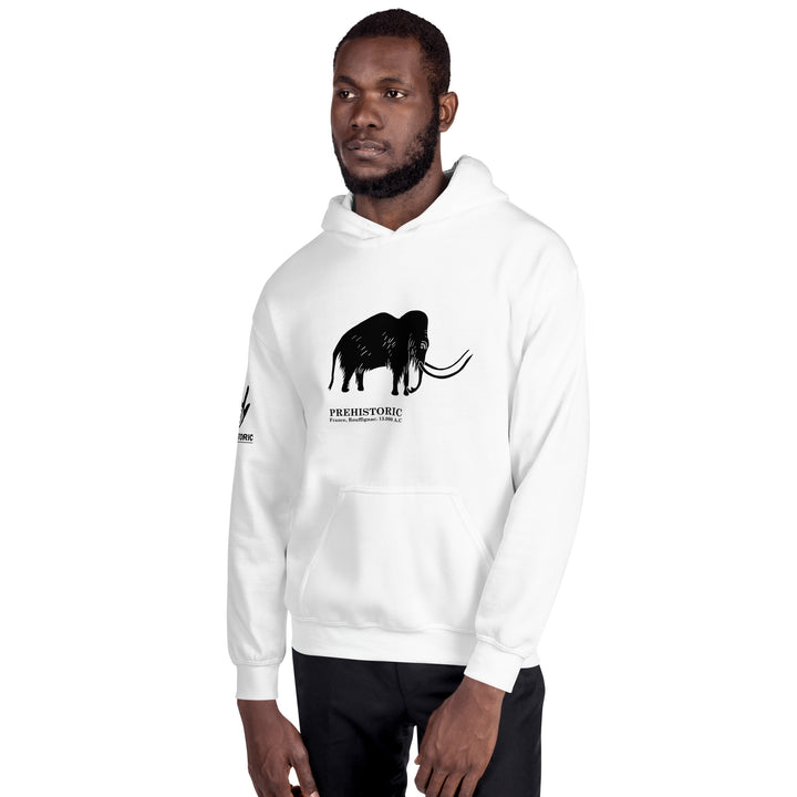 Mammoth Cave France - Unisex Hoodie 