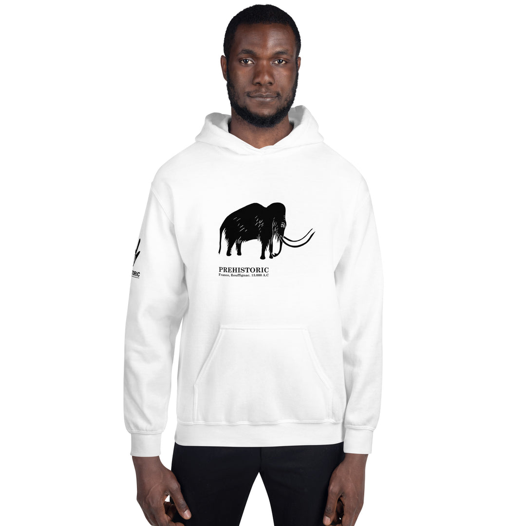 Mammoth Cave France - Unisex Hoodie 